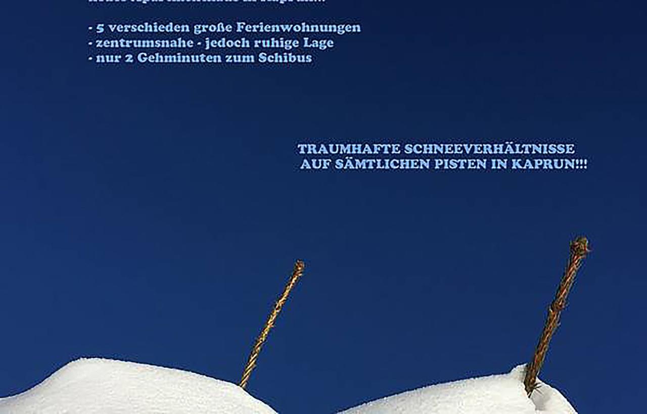 Art Apart Nomay Summercard Blick Top Of Salzburg Kaprun Exterior foto